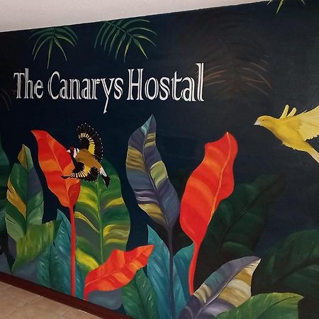 The Canarys Hostal Santa Rosa de Cabal Zewnętrze zdjęcie