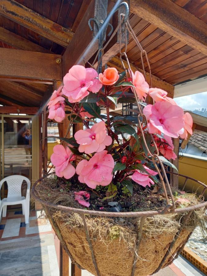 The Canarys Hostal Santa Rosa de Cabal Zewnętrze zdjęcie